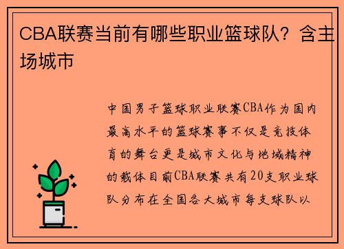 CBA联赛当前有哪些职业篮球队？含主场城市