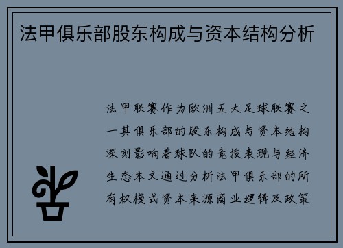 法甲俱乐部股东构成与资本结构分析